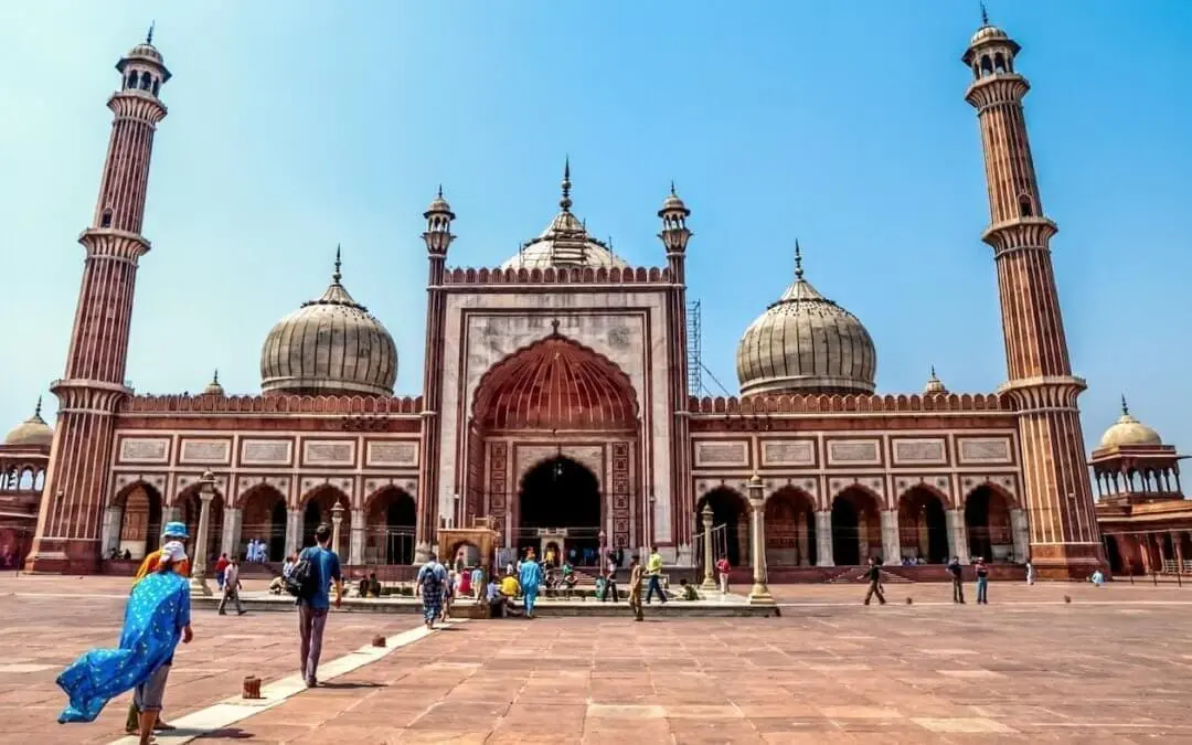 Mitjans advocats in India