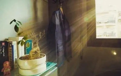 Nueva ley de contratos del sector público