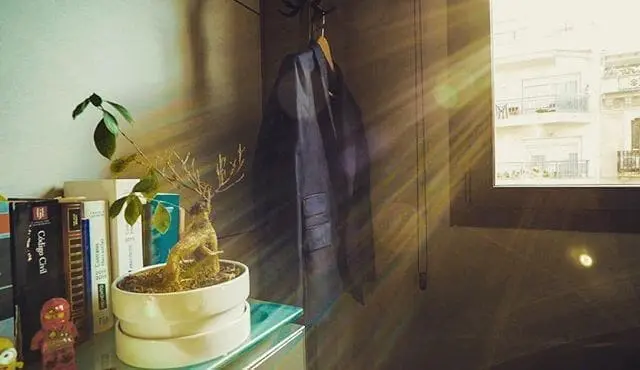 LA NOVA LLEI DE CONTRACTES DEL SECTOR PÚBLIC