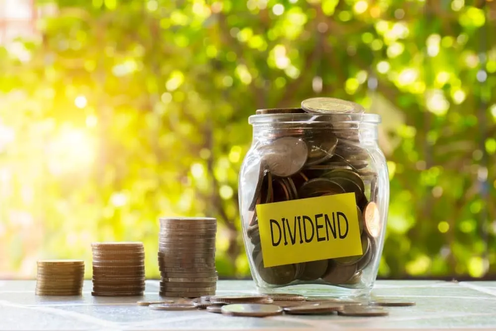 The payment of the dividend on silent partnership contributions